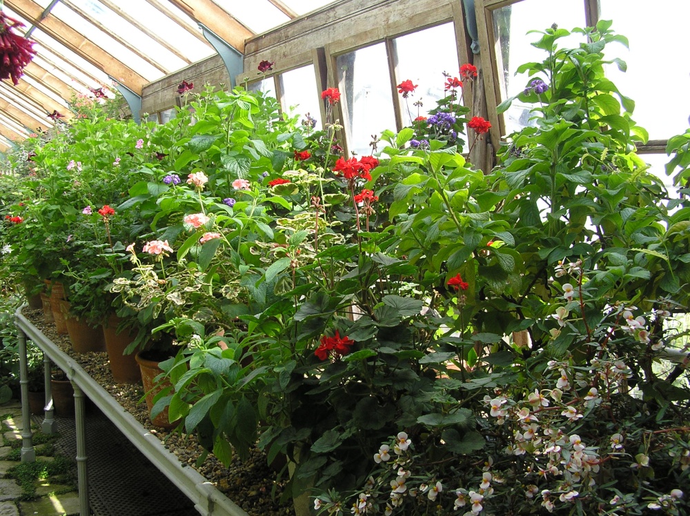 Photograph of Greenhouse at Parham House