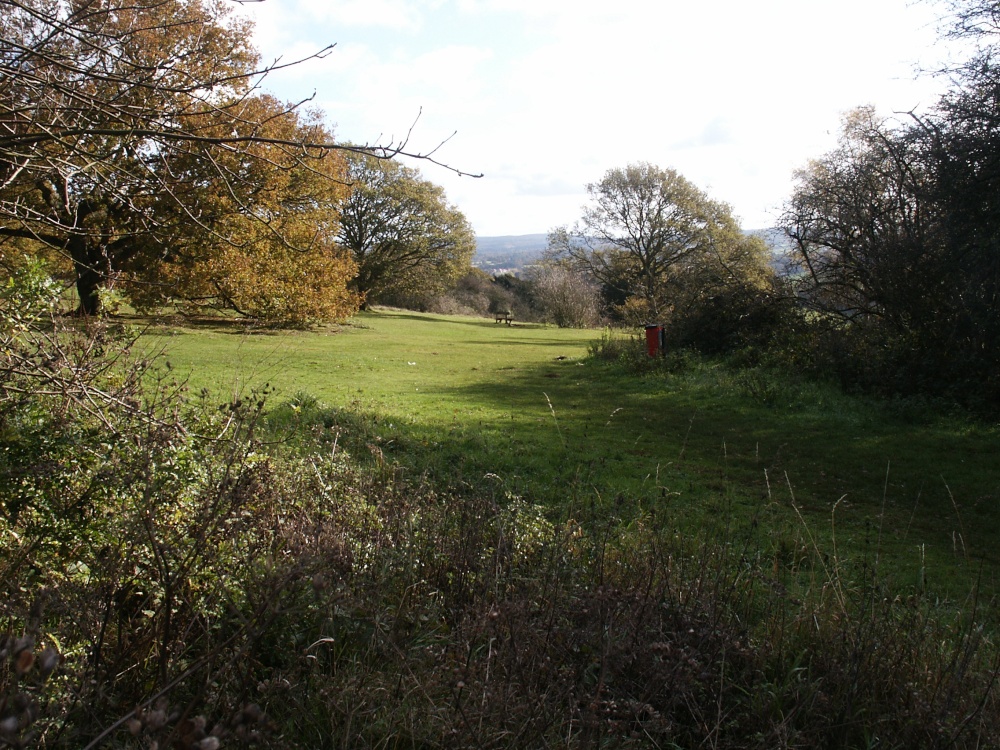 Newlands Corner, Surrey