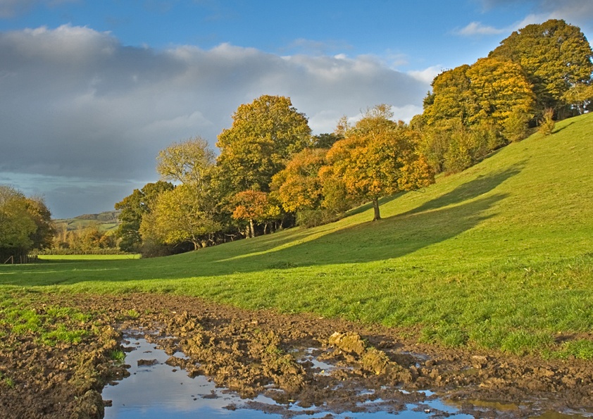 Photograph of Autumnal scene near Somerton