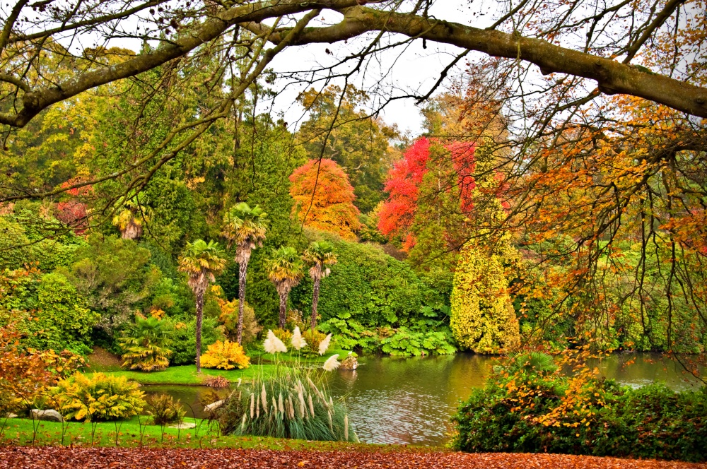 Photograph of Autumn in Sheffield Park