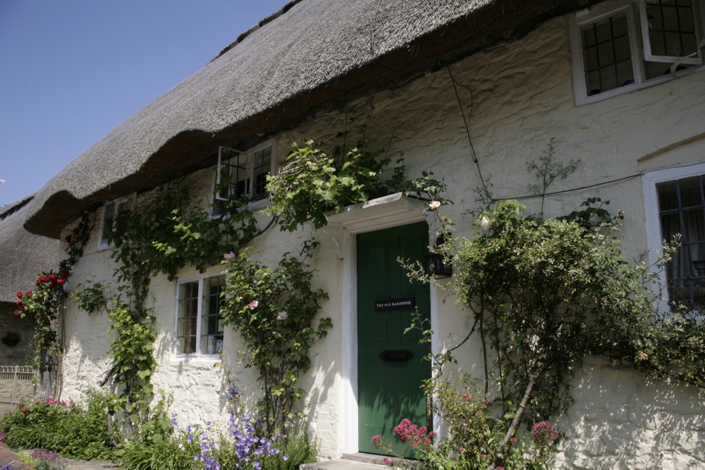Photograph of Cottage in village