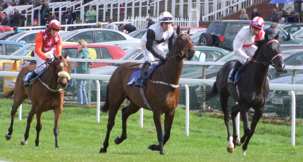 Cantering to the starting gate