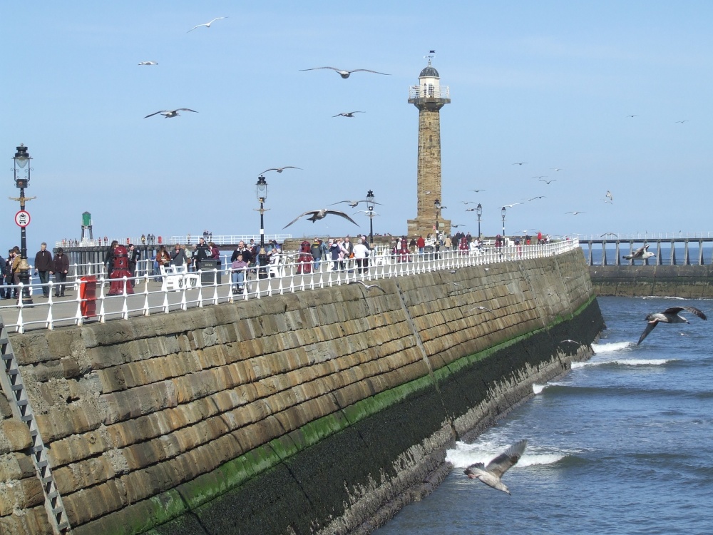 Whitby Harbour with the ever present gulls