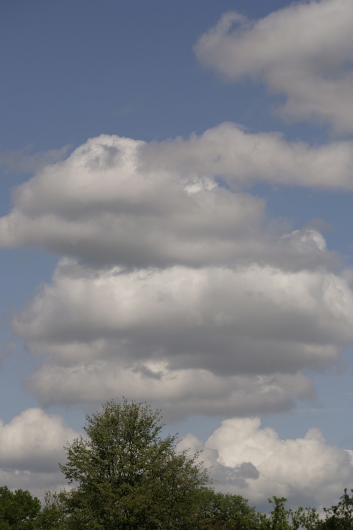 Clouds in the park