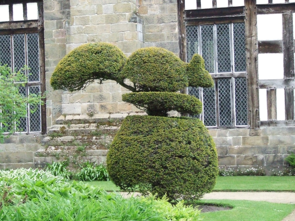 Rufford Hall Gardens