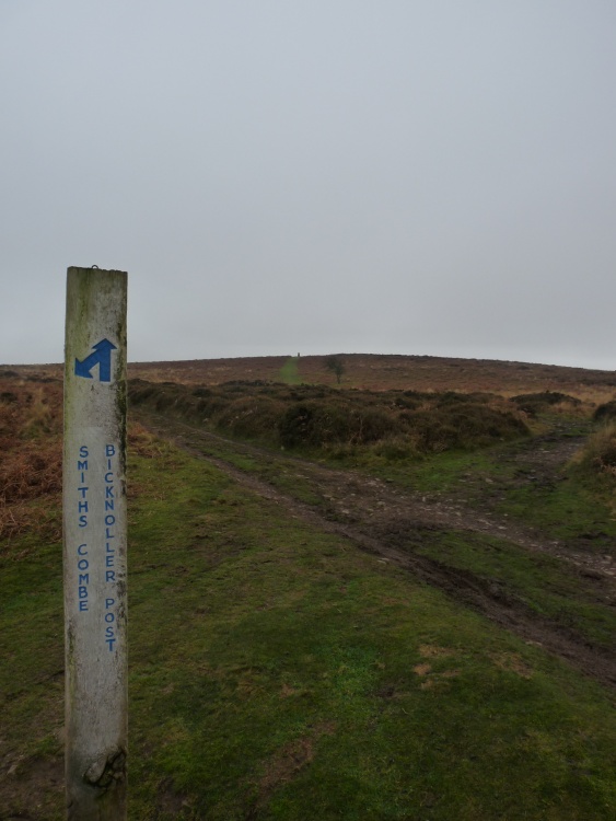 Quantock Hills