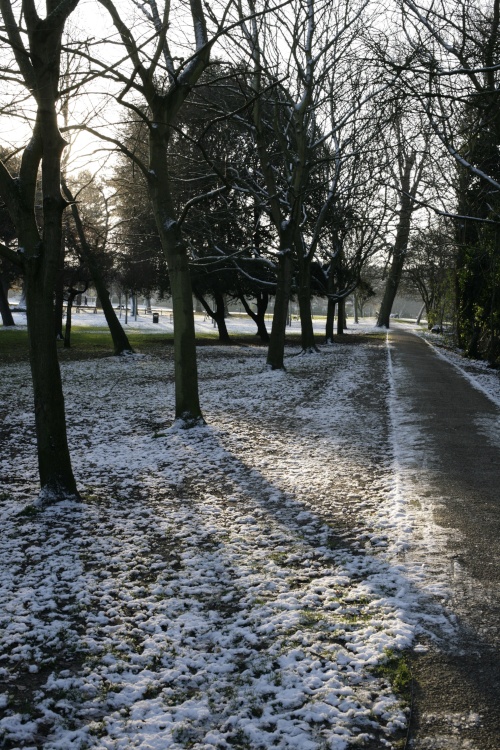 Path on the Rye