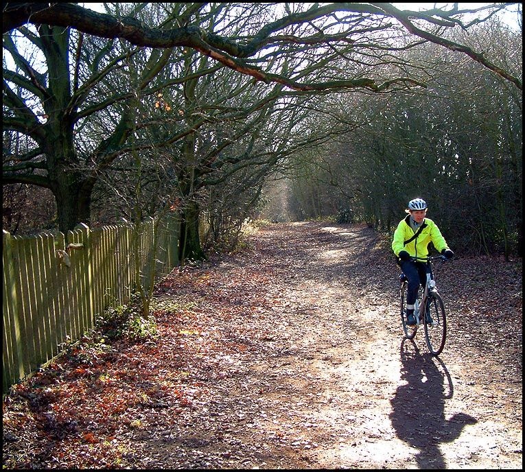 Biker in Wanstead Park