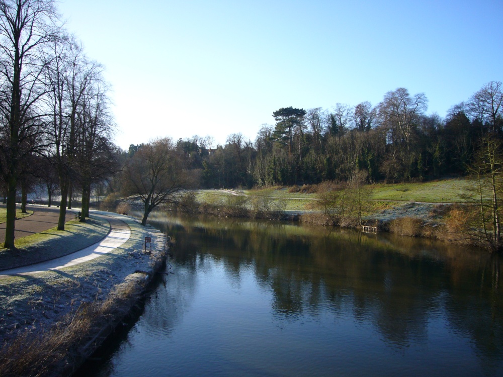 Park in Winter