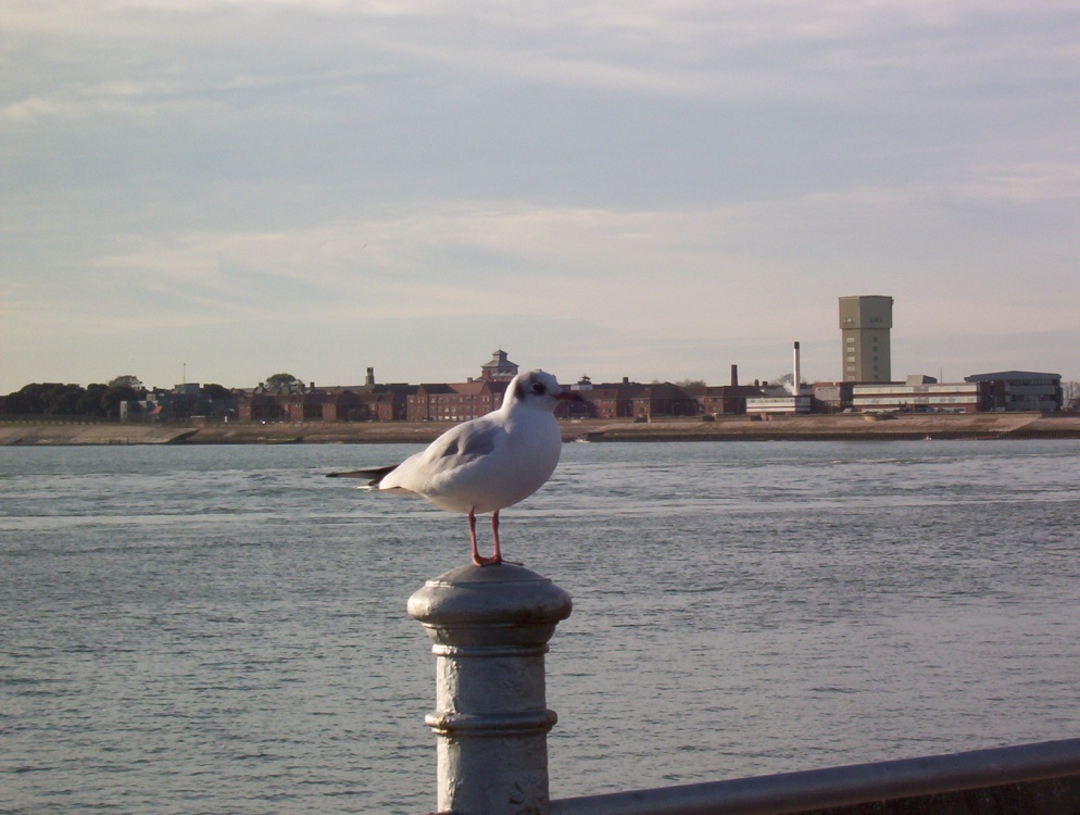 Entrance to Portsmouth Harbour