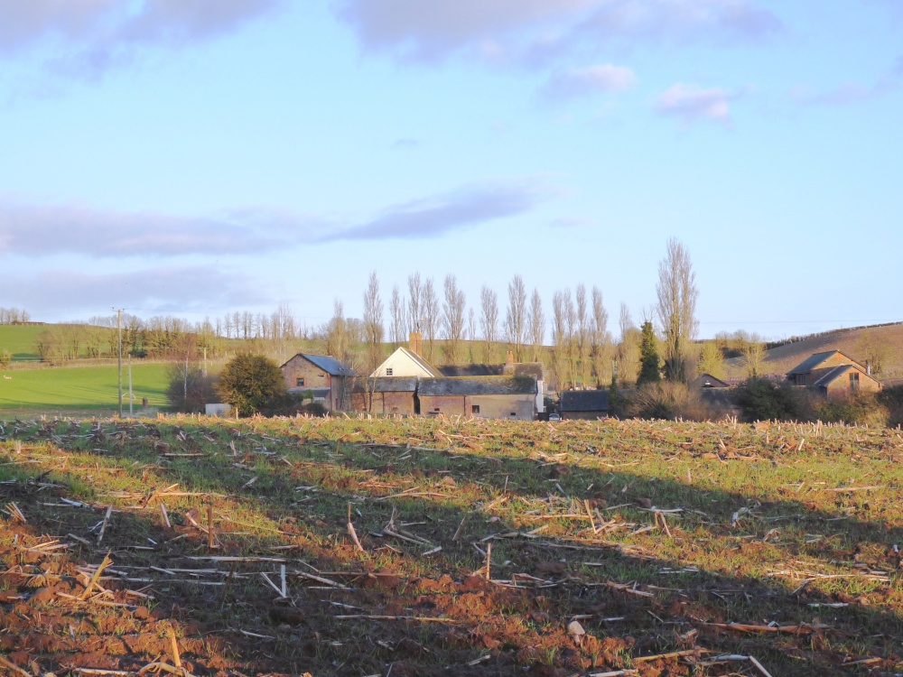 Farm Buildings