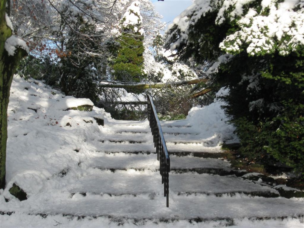 Taylor Park snow