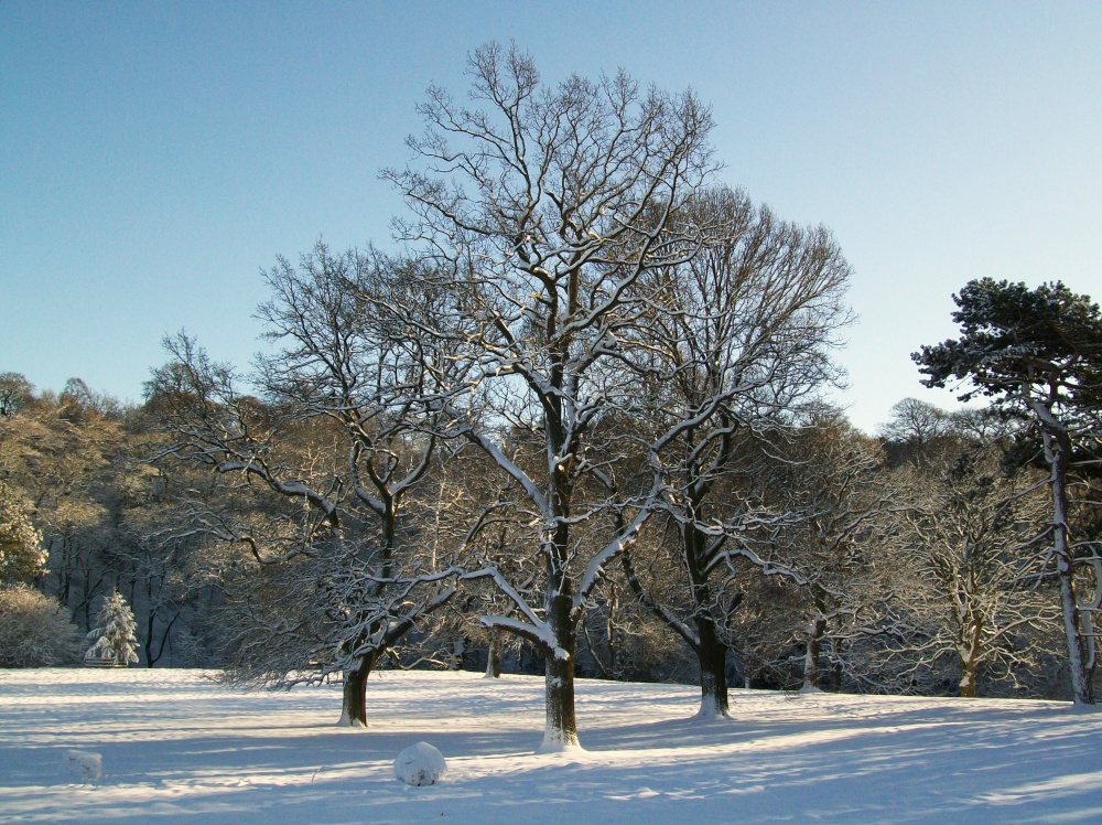 Bishops Park, Bishop Auckland, Durham 6th Jan 2010