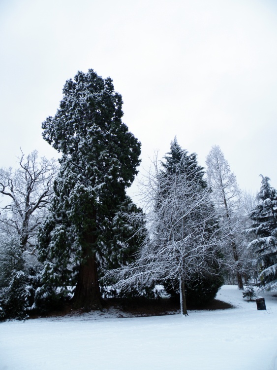 Eastcote House gardens, Eastcoe Village