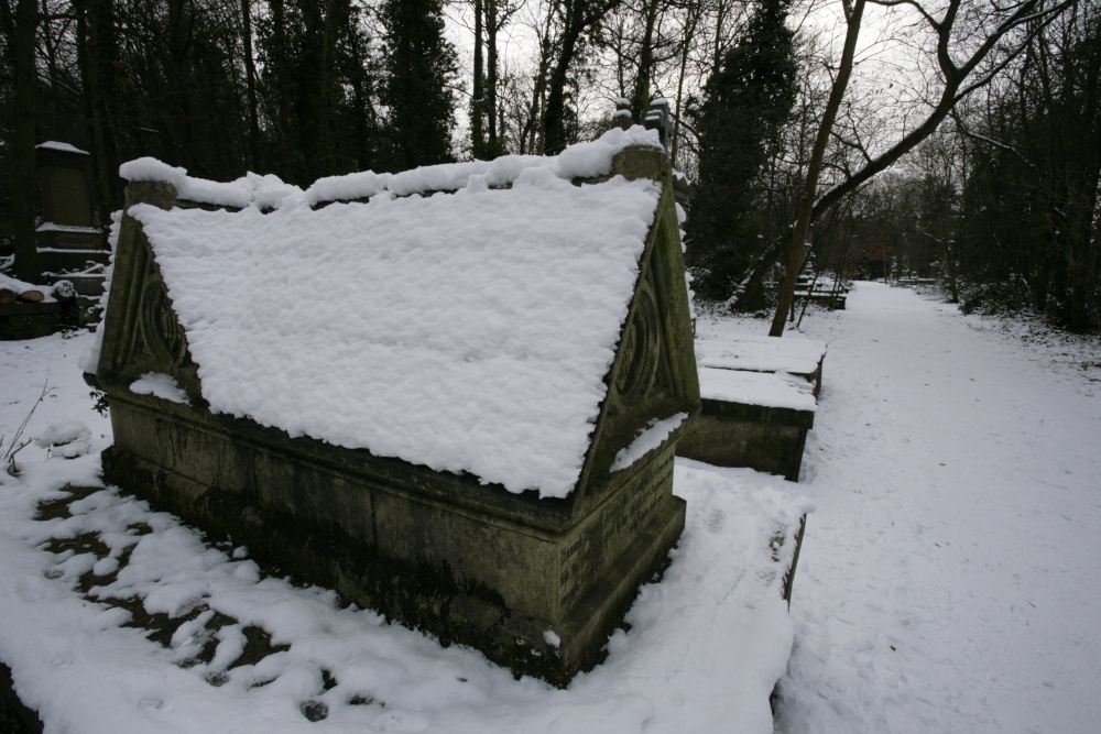 Photograph of The snowy Cemetery