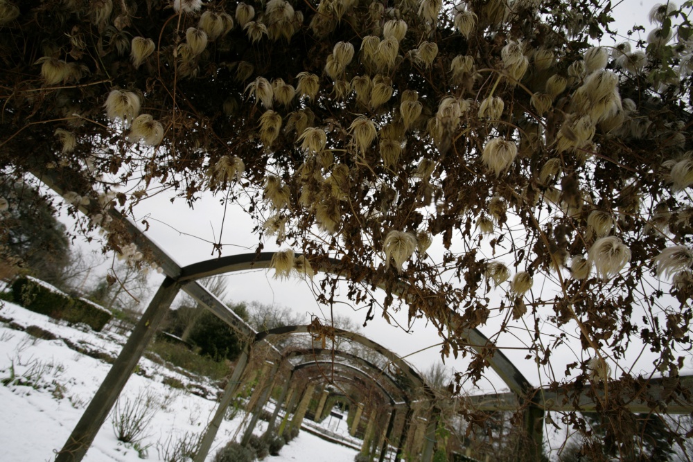 Snowy Spanish garden