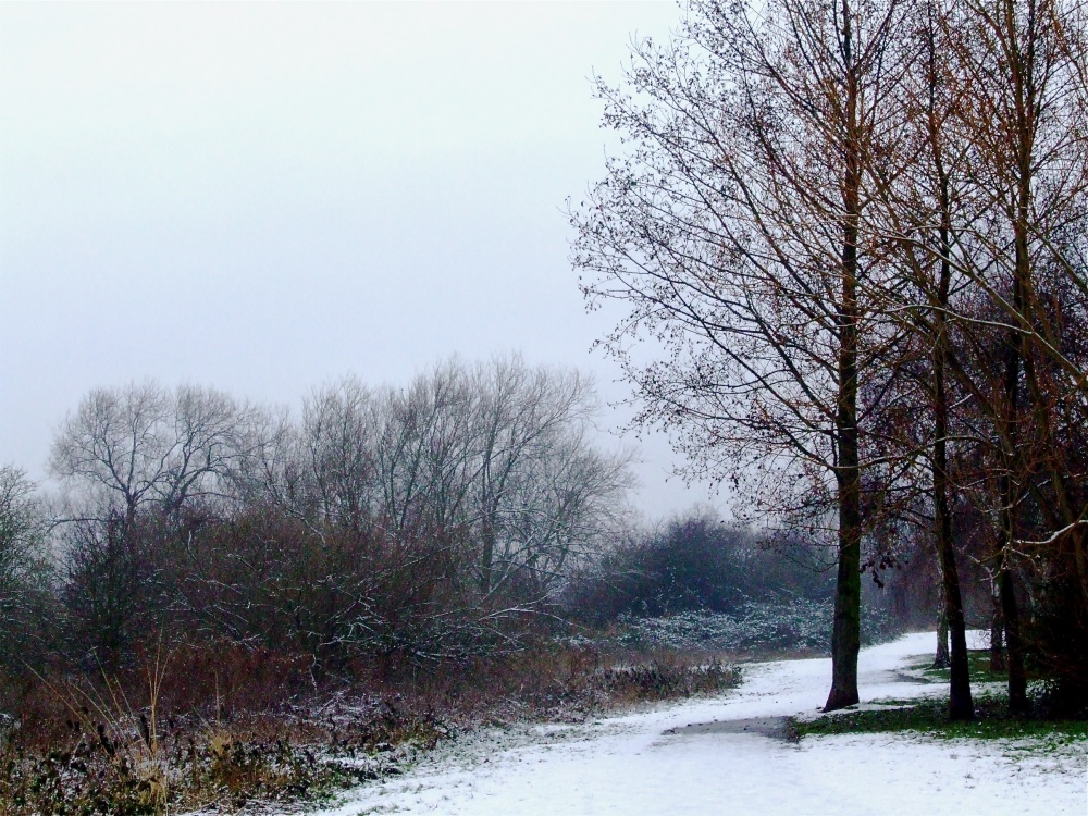 Winters stroll in Gamston