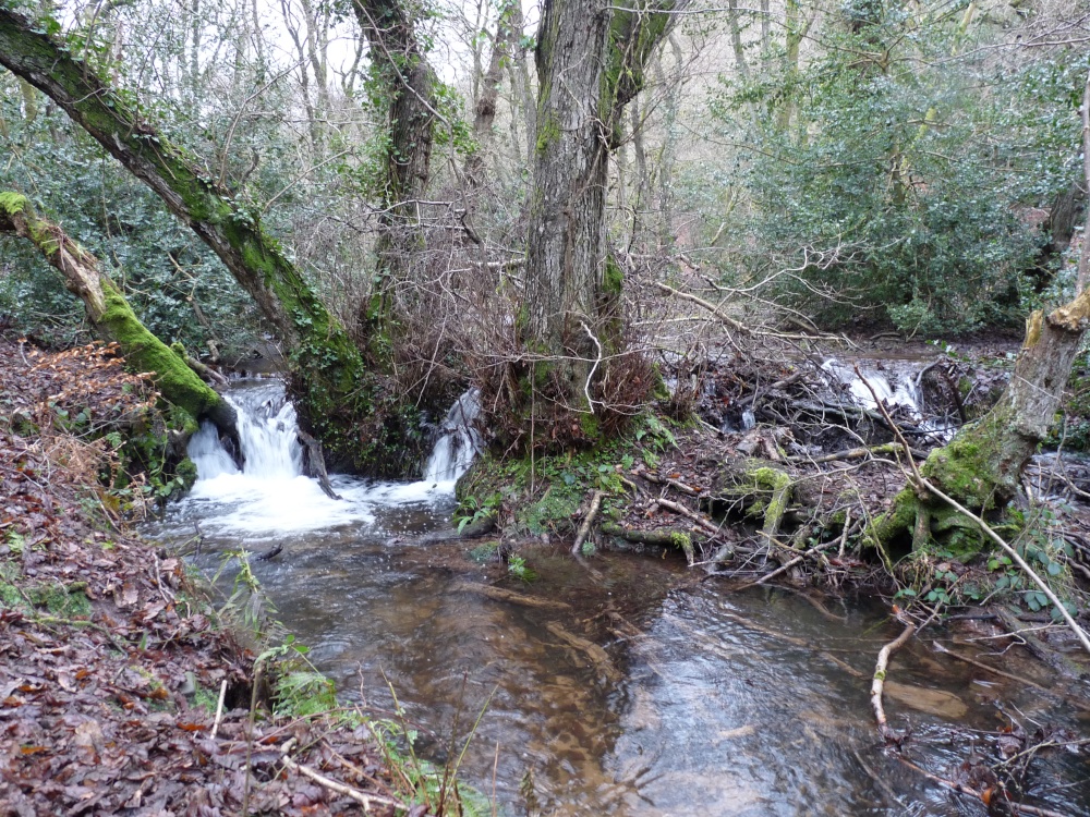 Quantock Hills