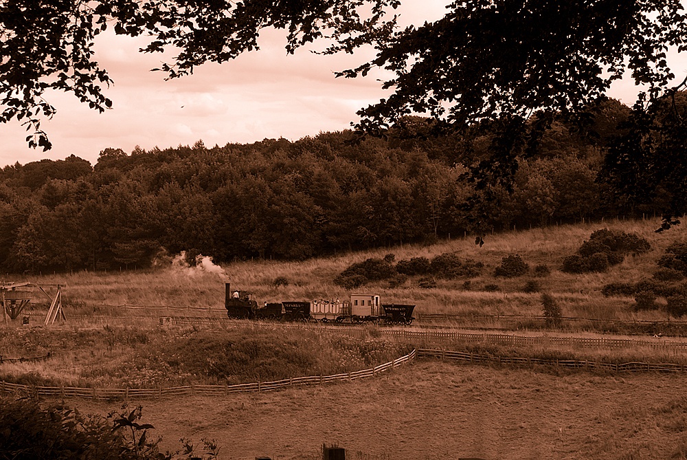 The Steam Train at Beamish