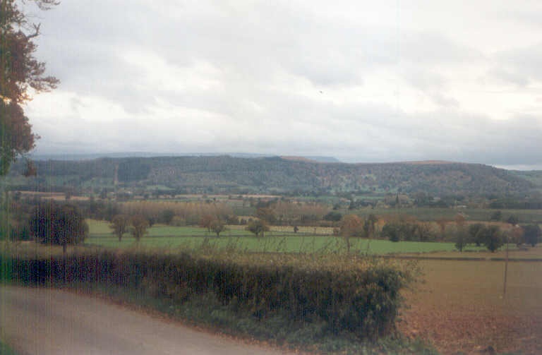 Photograph of Mansell Gamage view