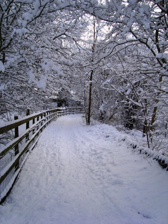 Silkstone Waggon Way