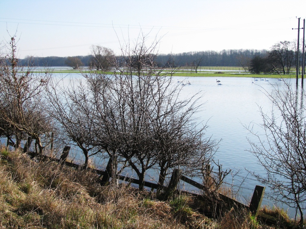 River Waveney overflowed