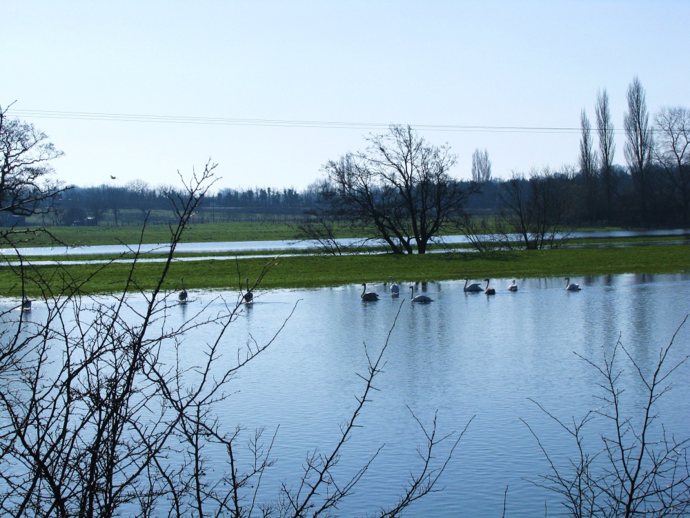 River Waveney overflowed