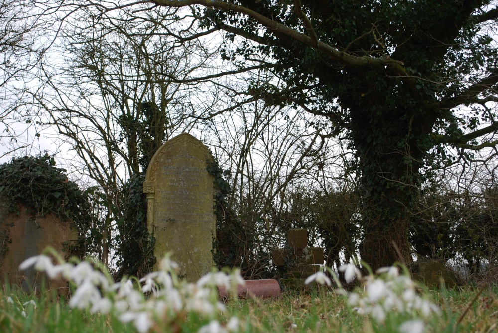 Photograph of Overgrown Churchyard