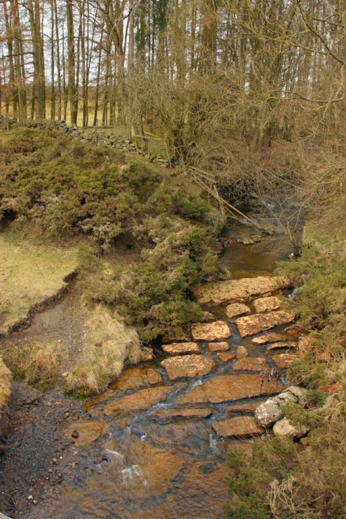 Hutton Le Hole 6