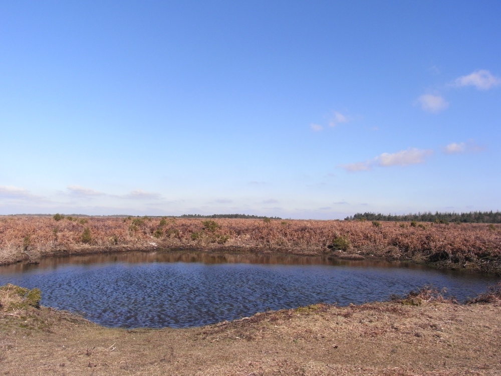 Spring Pool