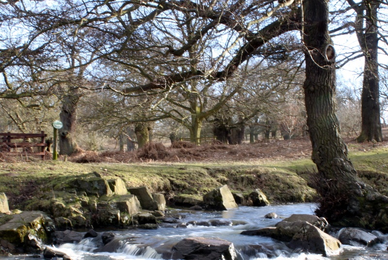 Bradgate Park