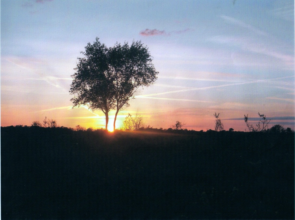 A May sunset over the forest