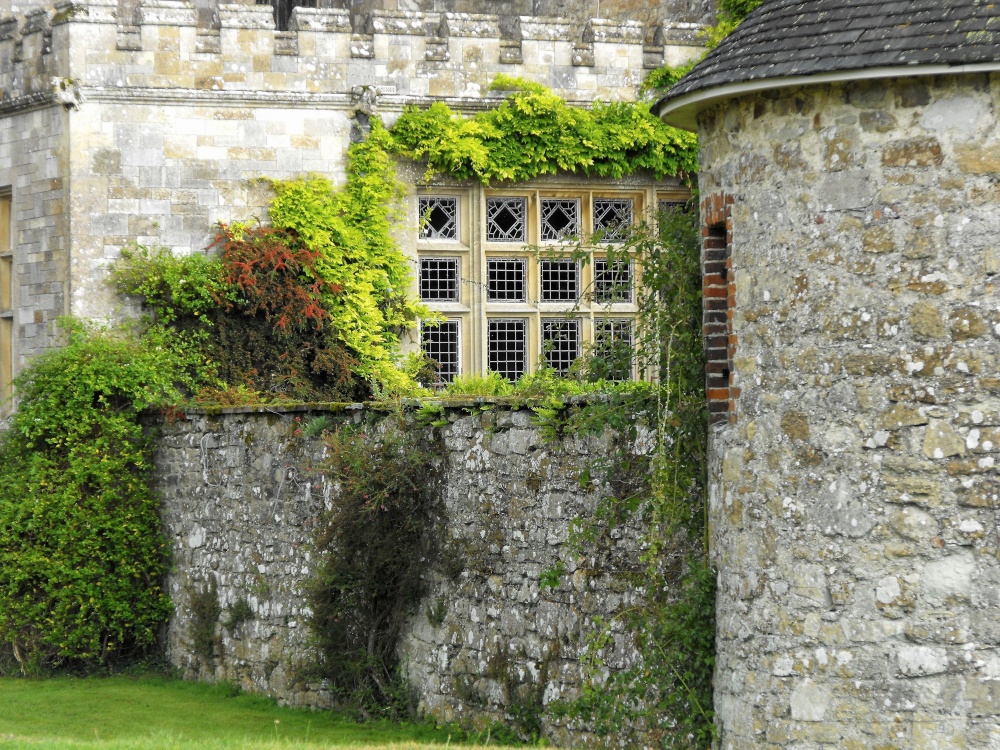 Garden wall photo by Ruth Gregory