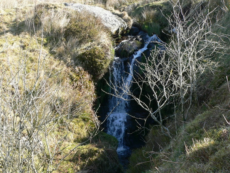 Dartmoor