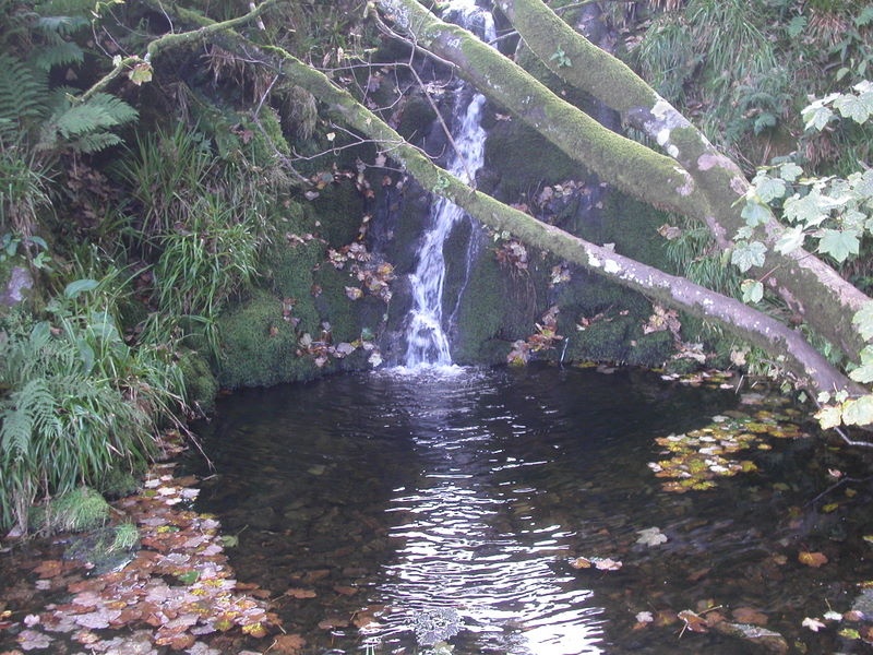 Dartmoor