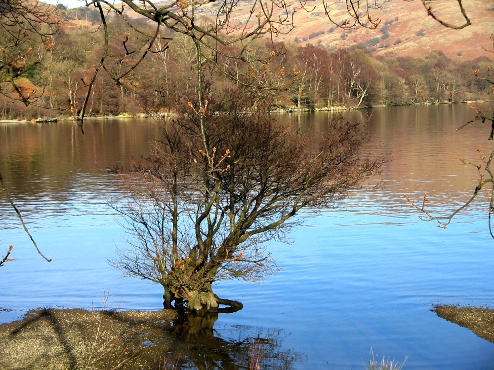 Ullswater at Glencoyne Bay.