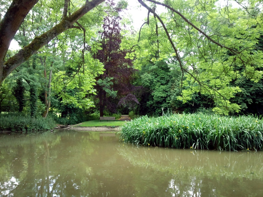 Photograph of The pond