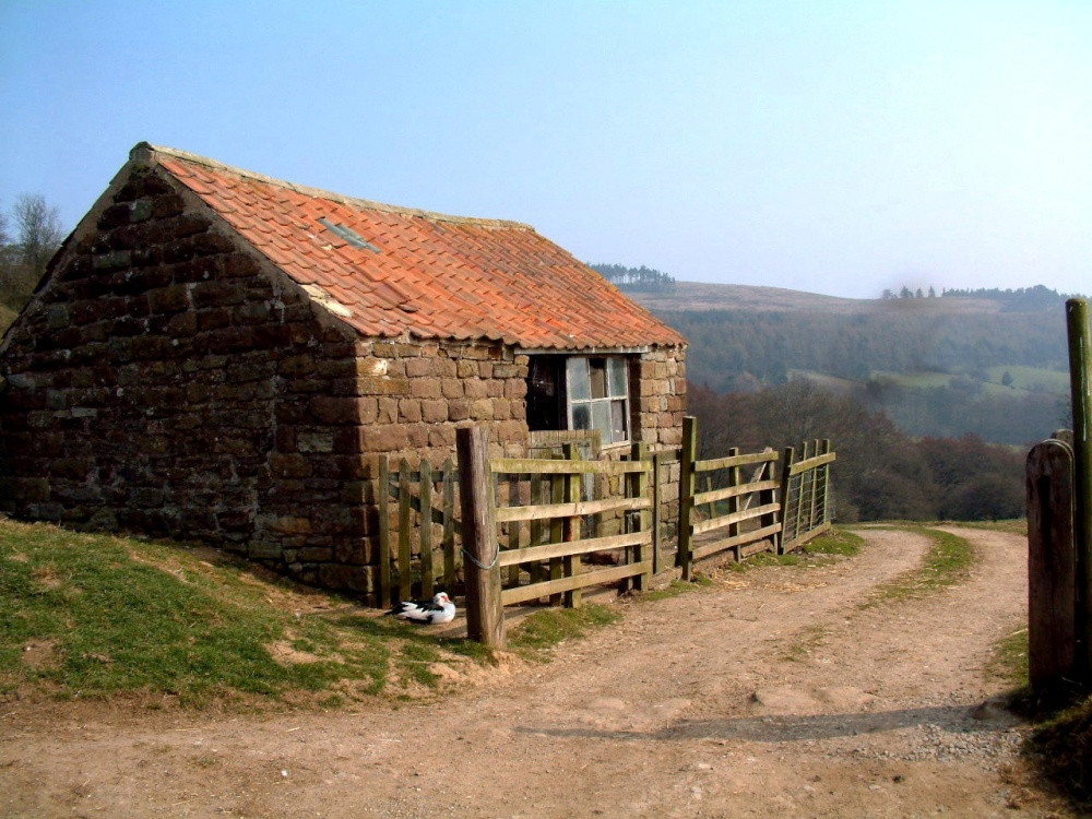 Rosedale Barn