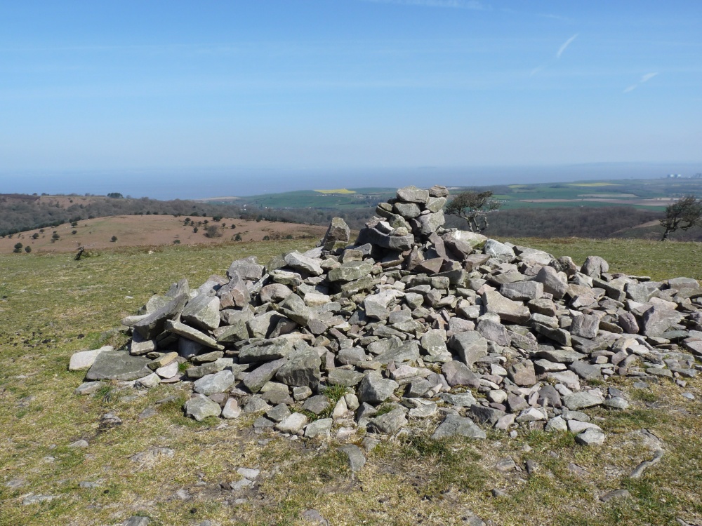 Quantock Hills