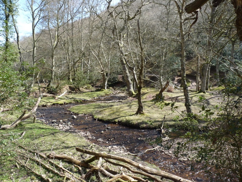 Quantock Hills