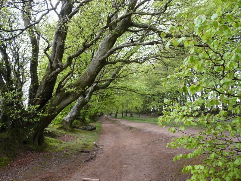 Quantocks