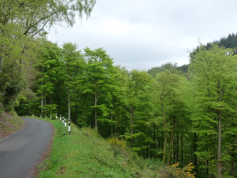 Quantock Hills