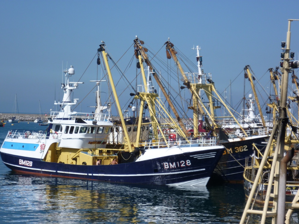 Brixham Trawlers