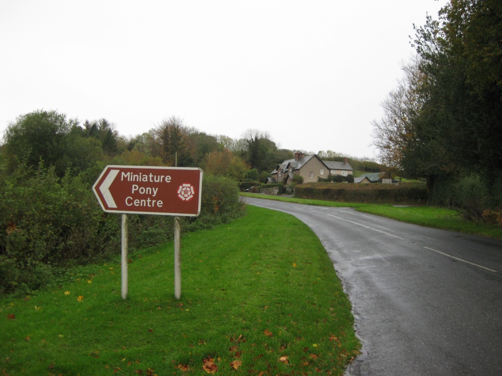 Miniature Pony Centre