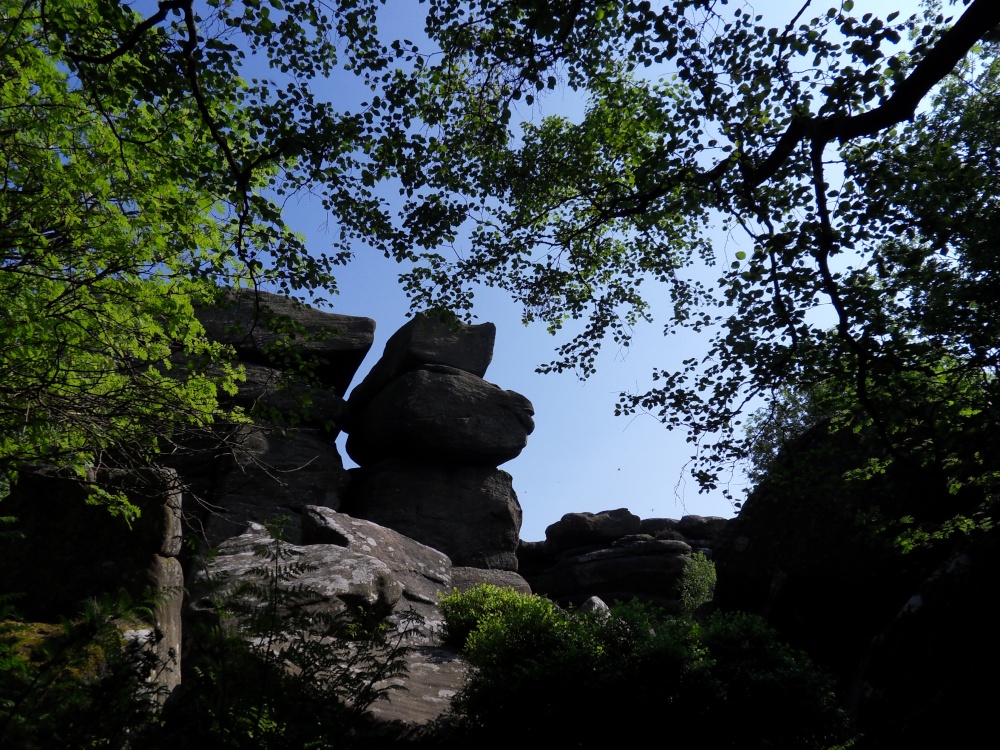 Brimham Rocks