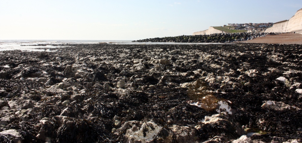 Saltdean Beach