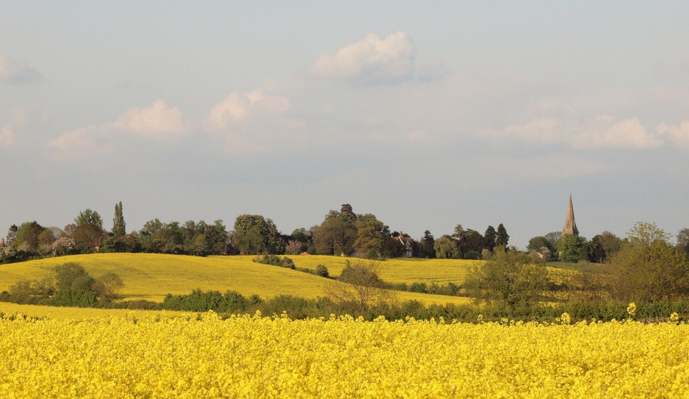 View towards Steeple Claydon, Bucks