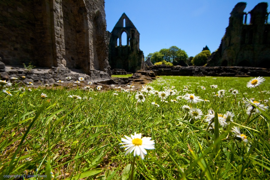 Photograph of Wenlock Priory
