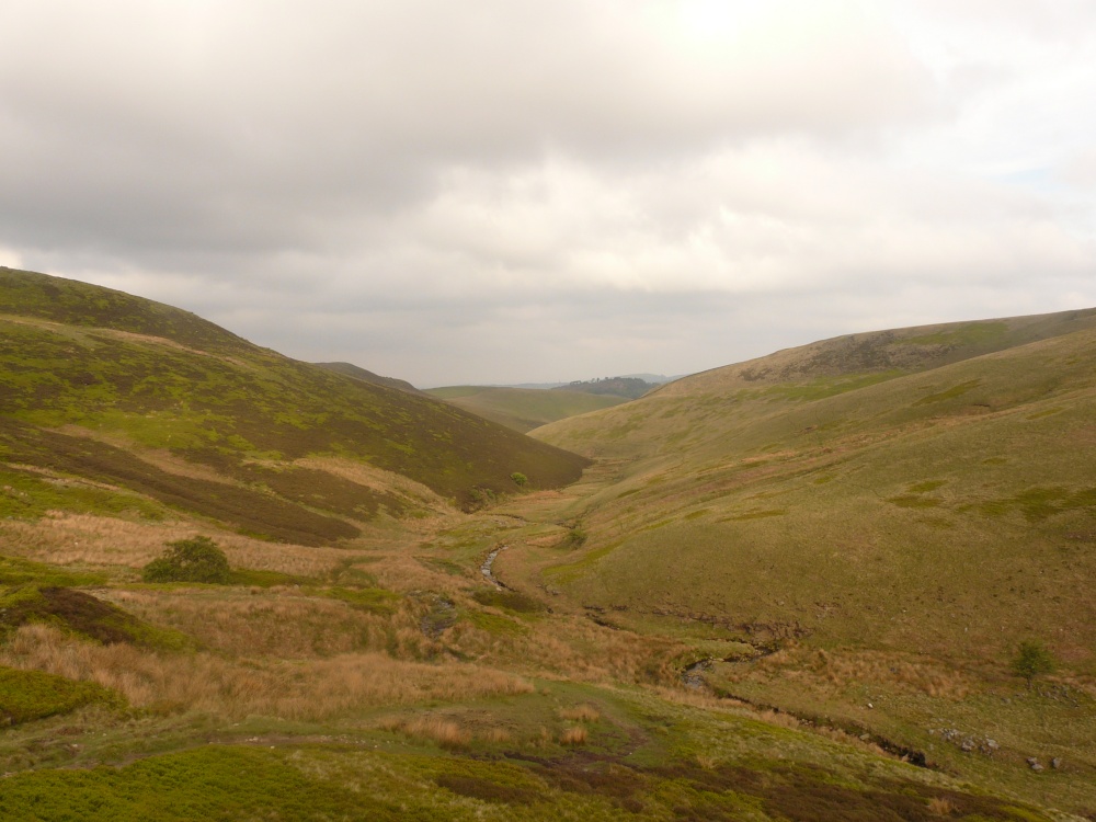 Yellow Slacks Valley