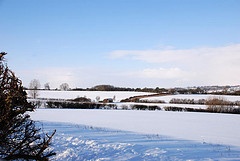 Snowy fields around Bradden